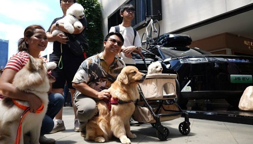 Mobil ramah hewan peliharaan